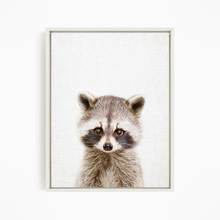 A raccoon with large eyes and a curious expression is the focus of the image.