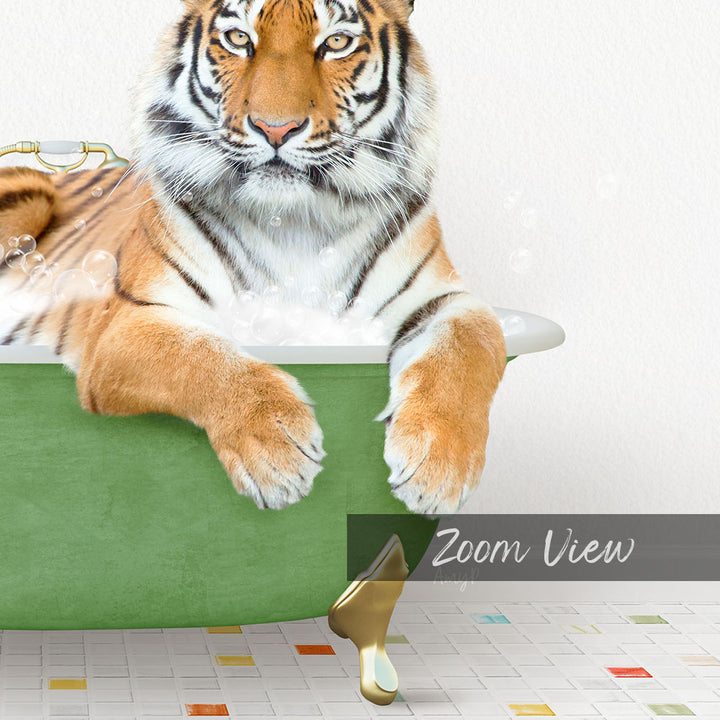 A tiger resting in a green bathtub, surrounded by bubbles, with the text "Zoom View" overlaid on the image.