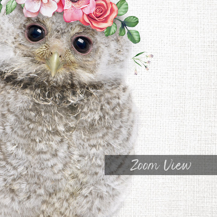 A close-up of a fluffy gray owl wearing a floral crown of pink and red flowers, with the text "Zoom View" below the image.