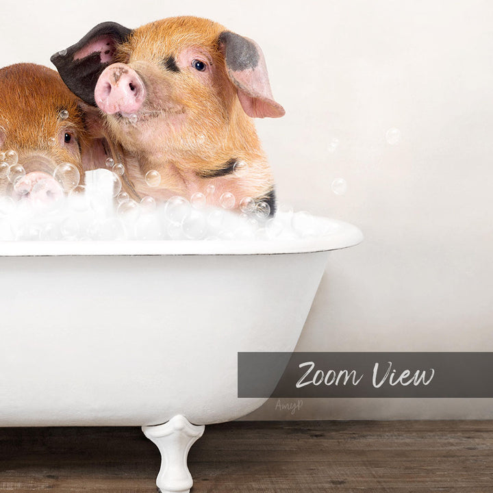 Two adorable pigs sitting in a white bathtub filled with bubbles, enjoying a relaxing bath.