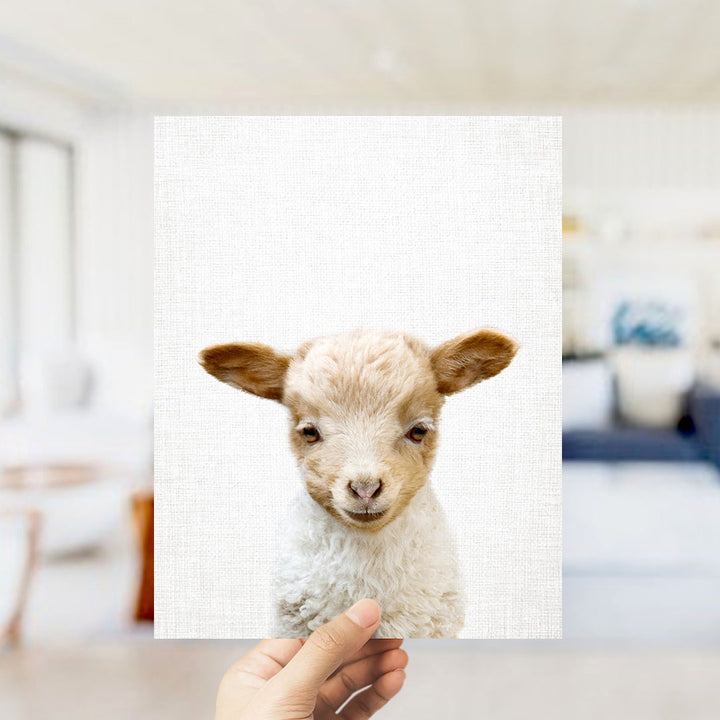 A hand is holding up a white canvas with a close-up of a baby lamb's face on it.