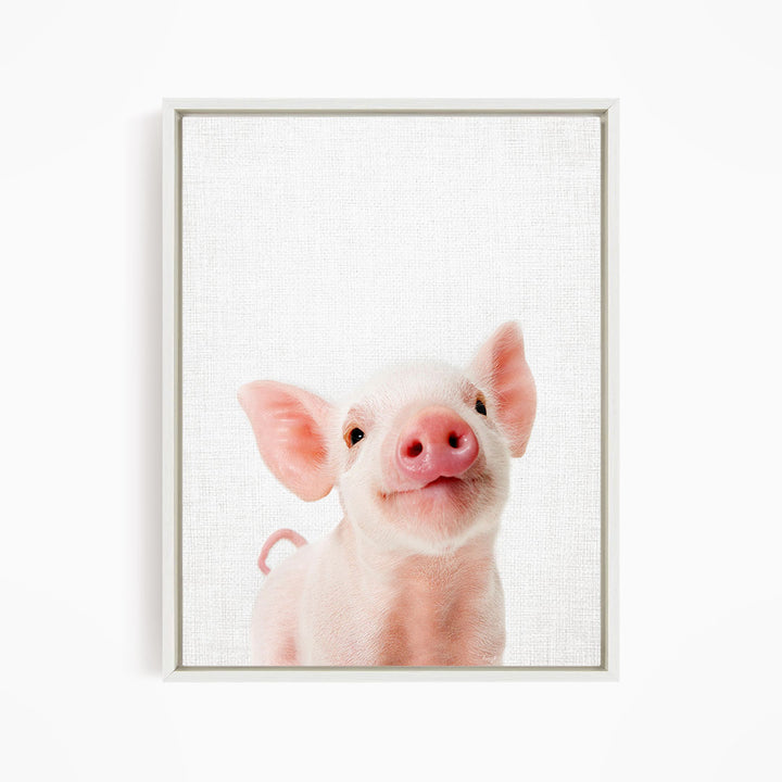 A cute, pink piglet with large ears and a pink nose is the main subject of the image.