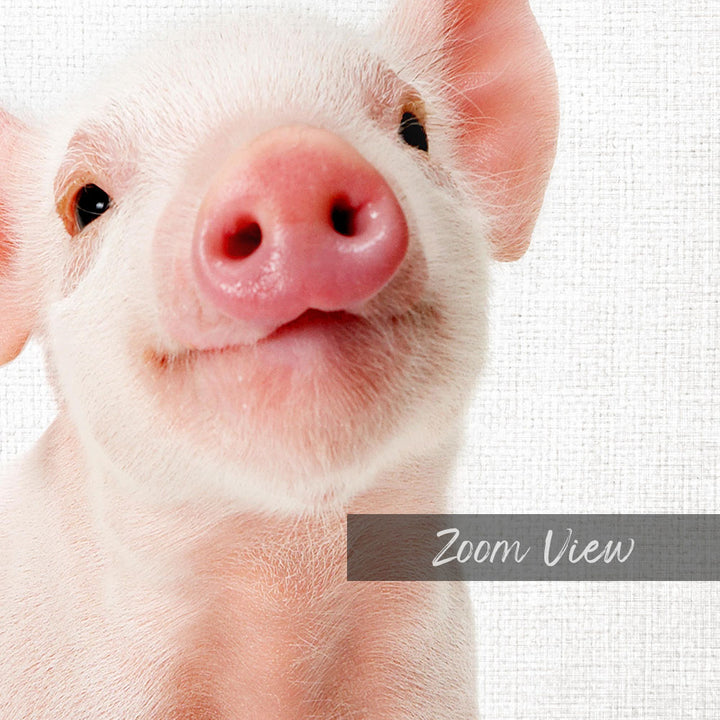 A close-up of a cute, pink piglet's face with a pink nose and a friendly expression.