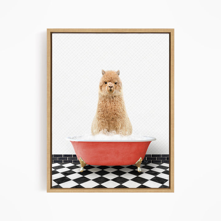 A fluffy brown dog sitting in a red bathtub filled with bubbles, surrounded by a black and white checkered floor.
