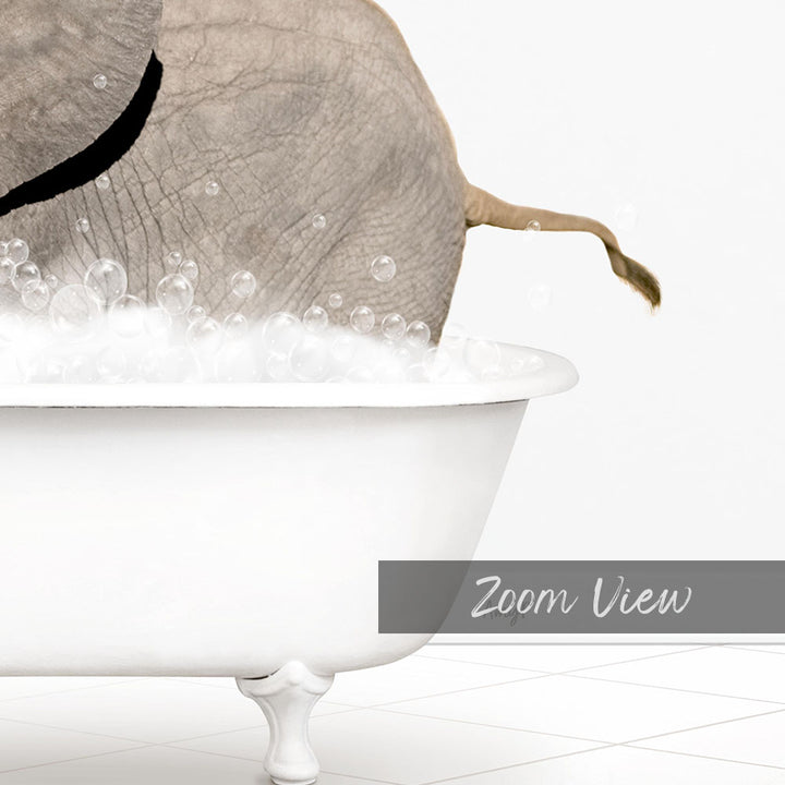A close-up of an elephant standing in a bathtub filled with bubbles, with the word "Zoom View" written below the image.