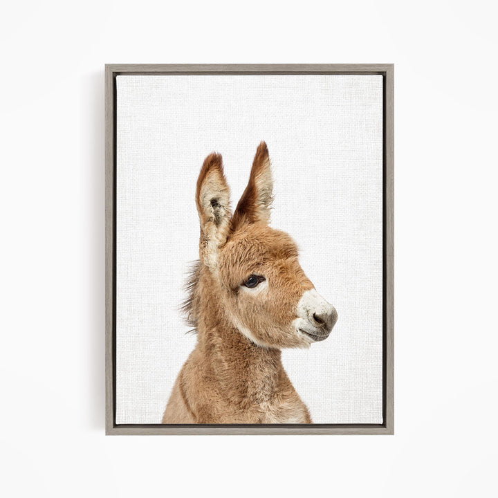 A close-up portrait of a donkey with a white face and brown ears, looking directly at the camera.