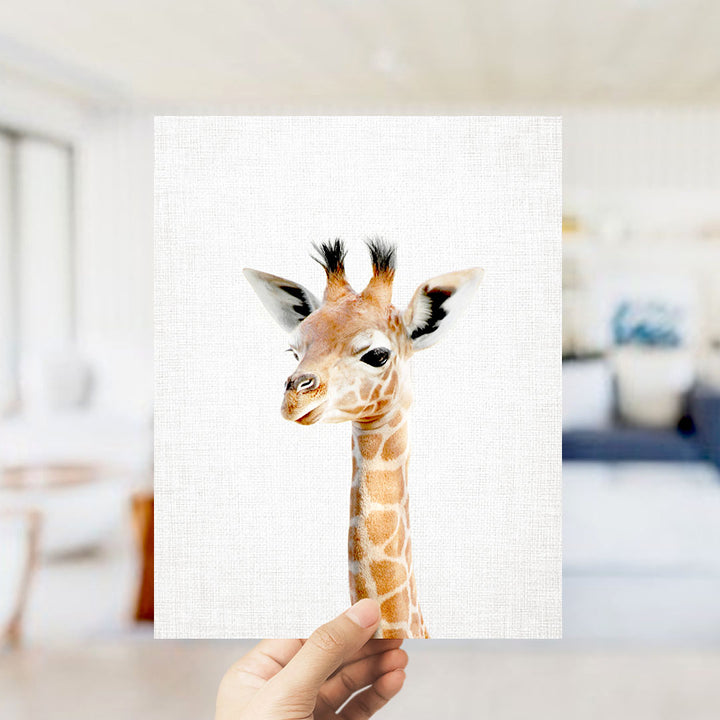 A hand is holding up a framed photograph of a giraffe's head, showcasing its distinctive features such as its long neck, large eyes, and small horns.