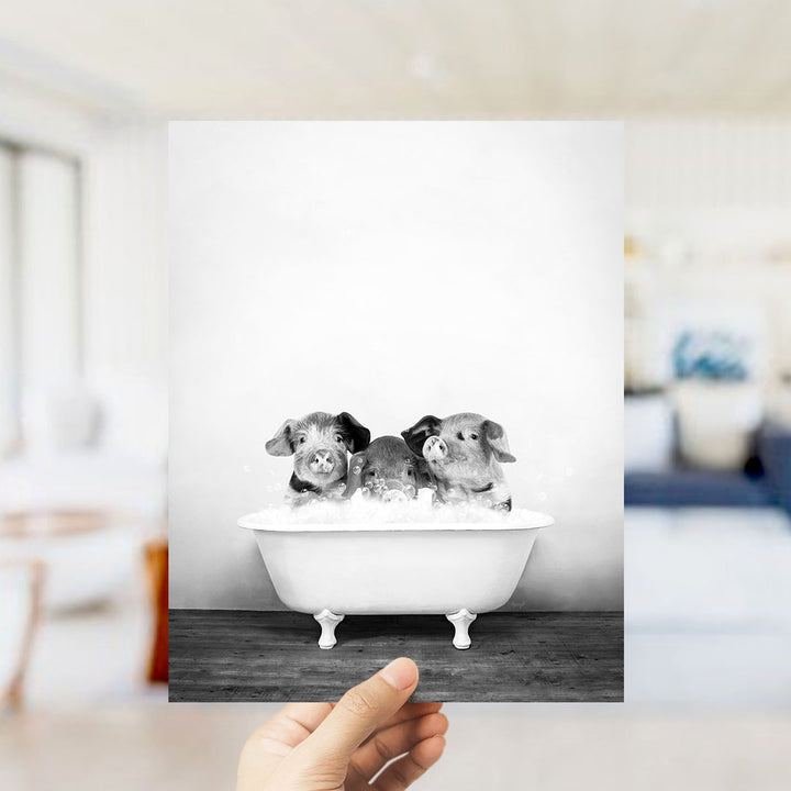 A hand holds up a black and white photograph of three adorable pigs sitting in a bathtub, with the background blurred.