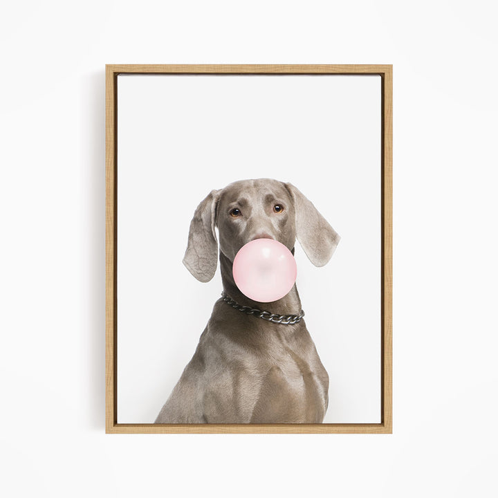 A dog is blowing a bubble with a pink bubble gum bubble.
