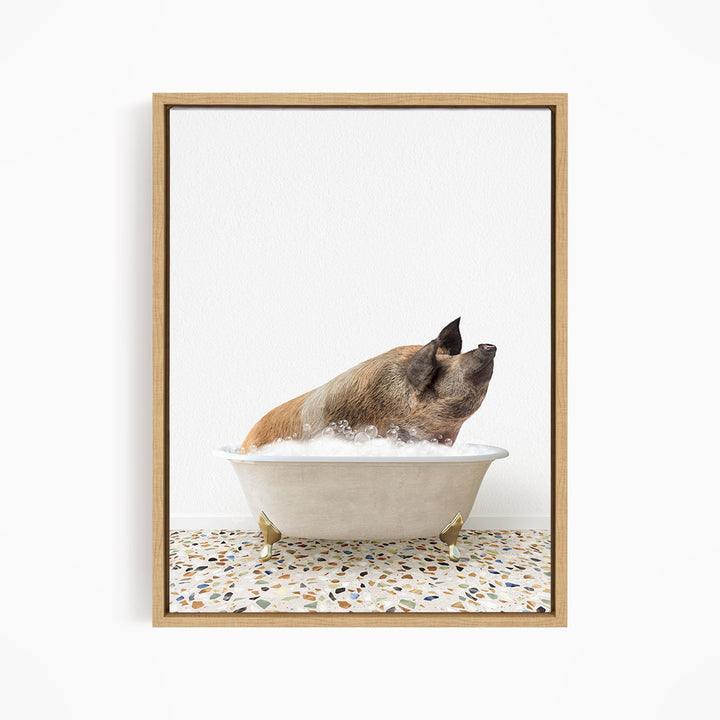 A brown pig sitting in a white bathtub filled with water, looking up at the camera.