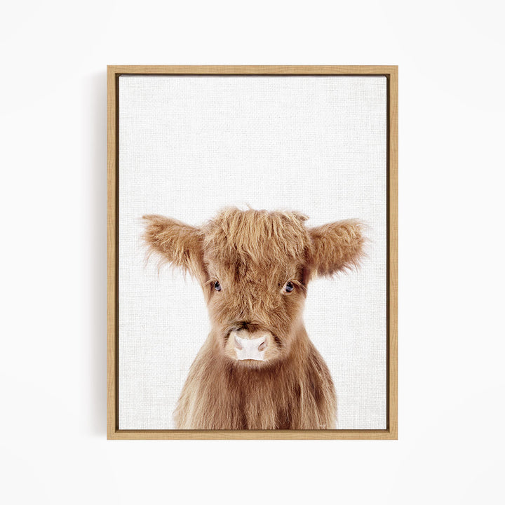 A close-up portrait of a brown cow with shaggy fur and large, expressive eyes.