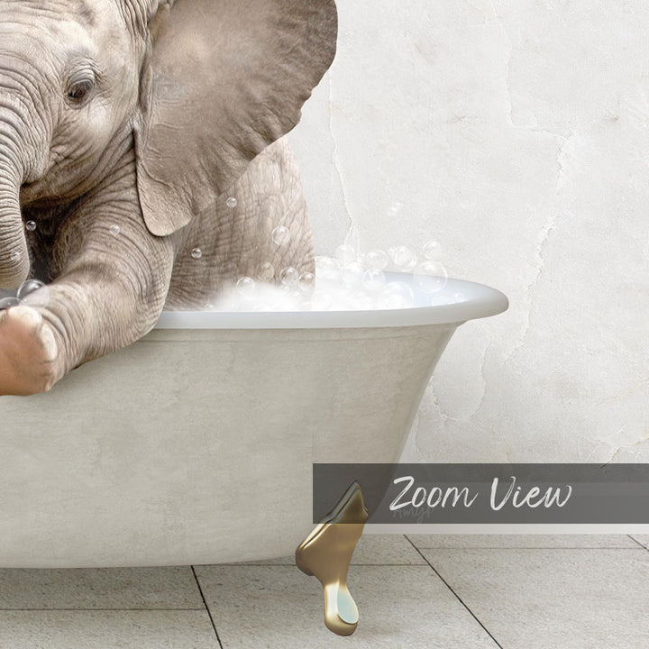A baby elephant sitting in a bathtub filled with water and bubbles, with a "Zoom View" label below the image.