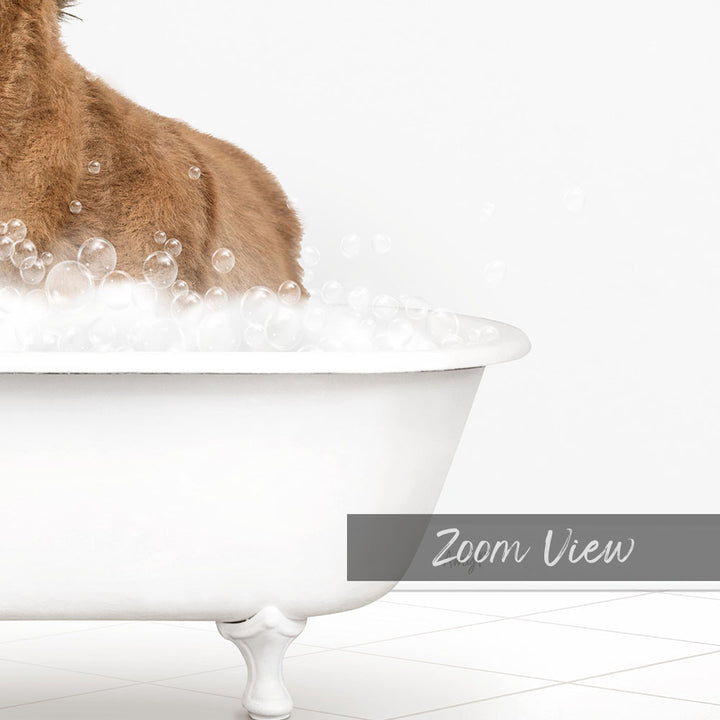 A brown dog sitting in a white bathtub filled with bubbles, with the text "Zoom View" below the image.