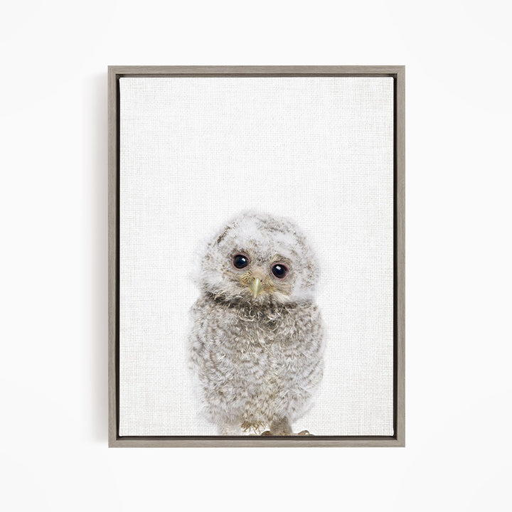 A framed print of a baby owl with large eyes and a fluffy, gray appearance.