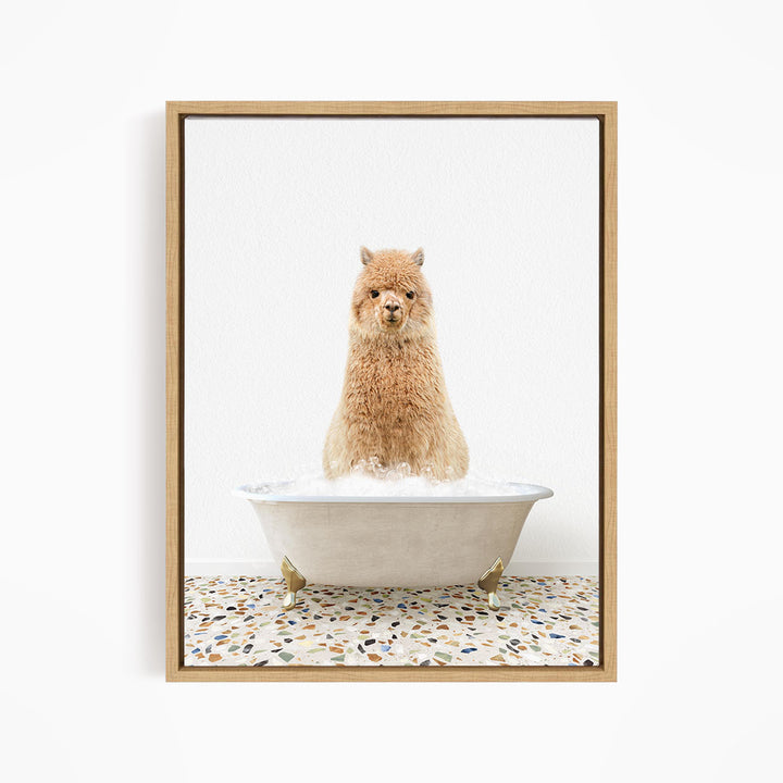 A fluffy brown alpaca sitting in a white bathtub filled with bubbles, looking directly at the camera.