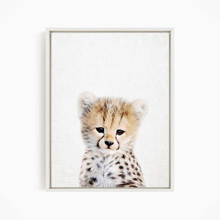 A young cheetah cub with a spotted coat and a curious expression is the focus of the image.