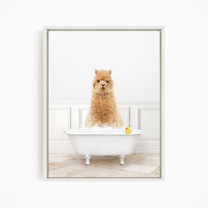 A fluffy alpaca sits in a white bathtub filled with bubbles, with a rubber duck floating nearby.