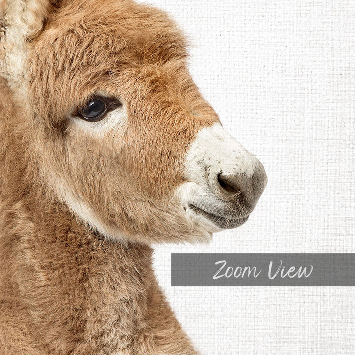 A close-up of a donkey's head, with a text overlay that reads "Zoom View".
