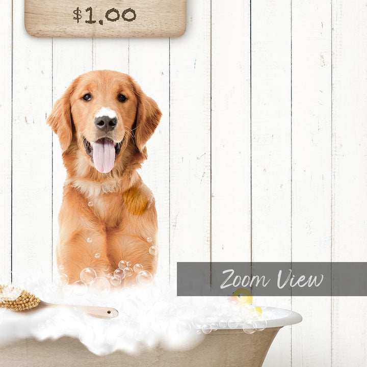 A golden retriever dog sitting in a bathtub filled with bubbles, with a sign above the dog indicating the price of $1.00.