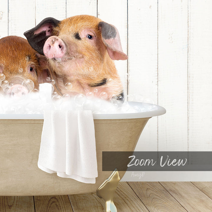 A pair of adorable pigs sitting in a bathtub filled with bubbles, enjoying a relaxing bath.