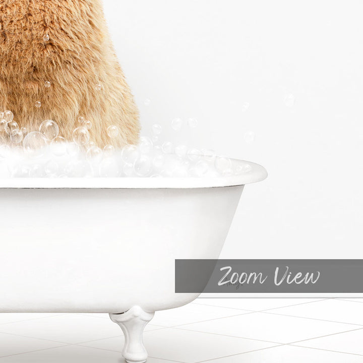 A fluffy brown cat sitting in a white bathtub filled with bubbles, with the text "Zoom View" displayed below the image.