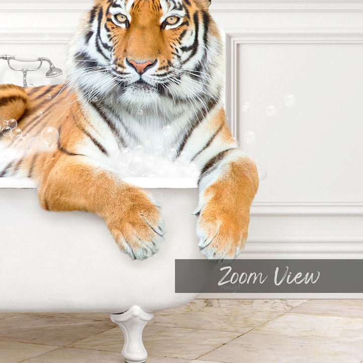 A tiger resting in a bathtub, surrounded by bubbles, with the text "Zoom View" below the image.