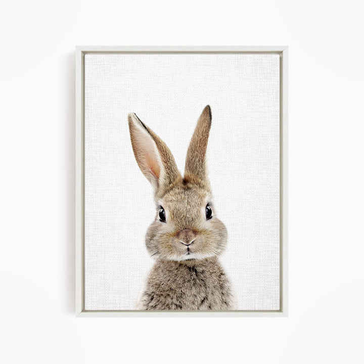 A cute, fluffy rabbit with large ears and a curious expression is the main subject of the image.