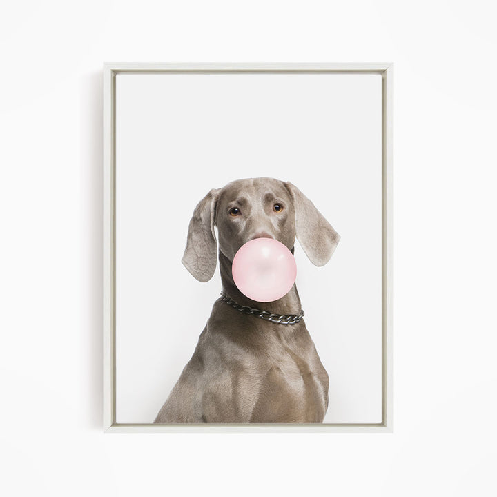 A dog is sitting and blowing a bubble with a pink bubble gum bubble.