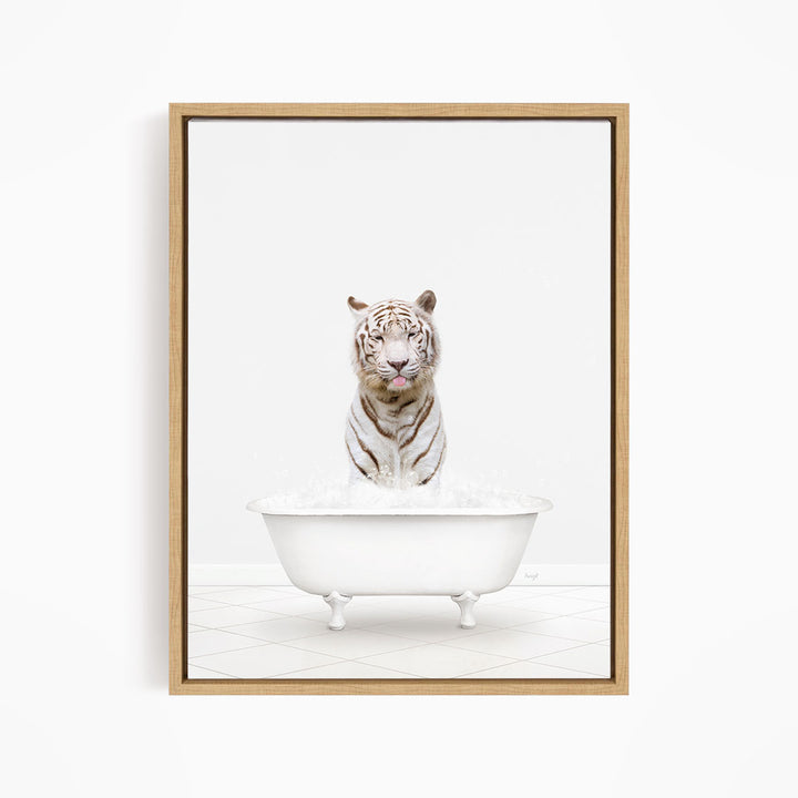 A white tiger sitting in a white bathtub filled with water.