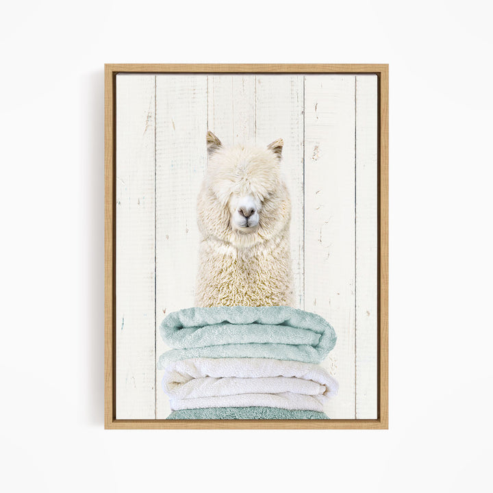 A fluffy white alpaca sits atop a stack of light blue and white towels, creating a cozy and inviting scene.