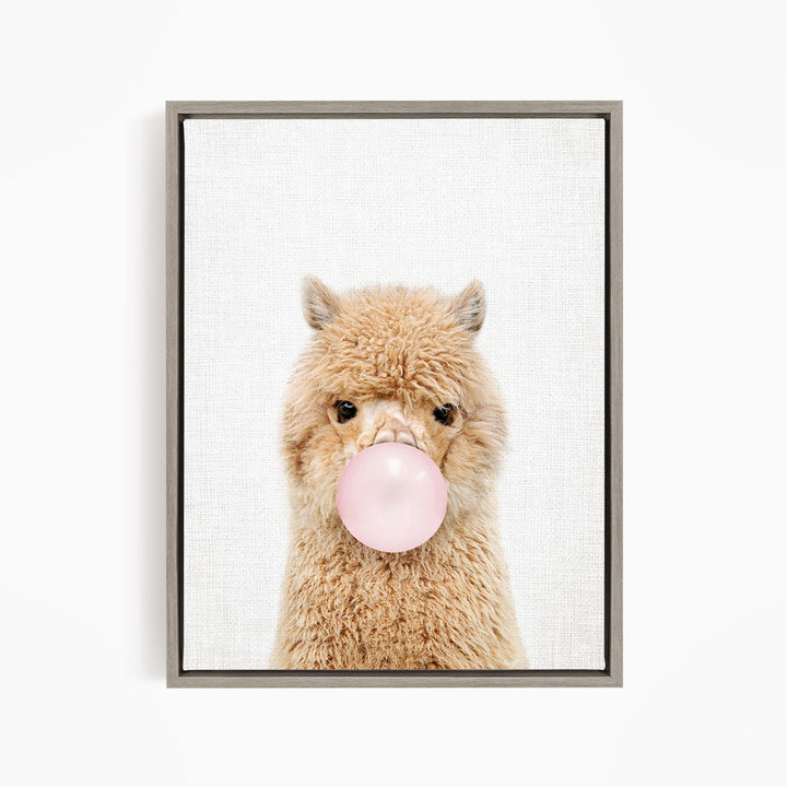 Baby Alpaca Blowing Pink Bubble Gum