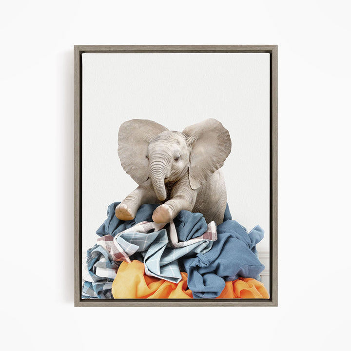 Baby Elephant on Laundry Clothes Pile - Simple White Wall