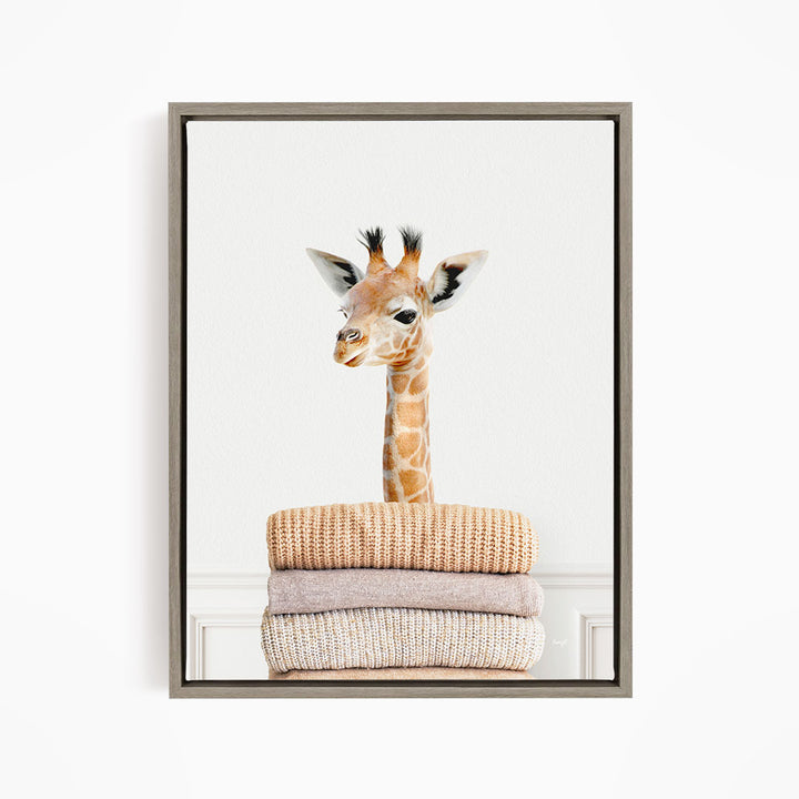 Baby Giraffe on Sweaters - Simple White Wall
