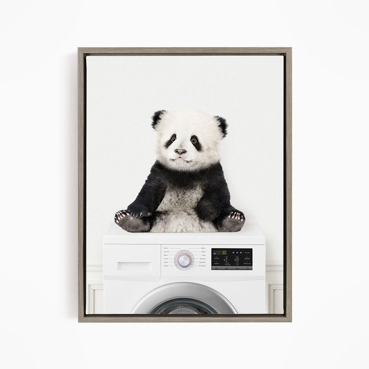 Baby Panda on Washing Machine - Simple White Wall