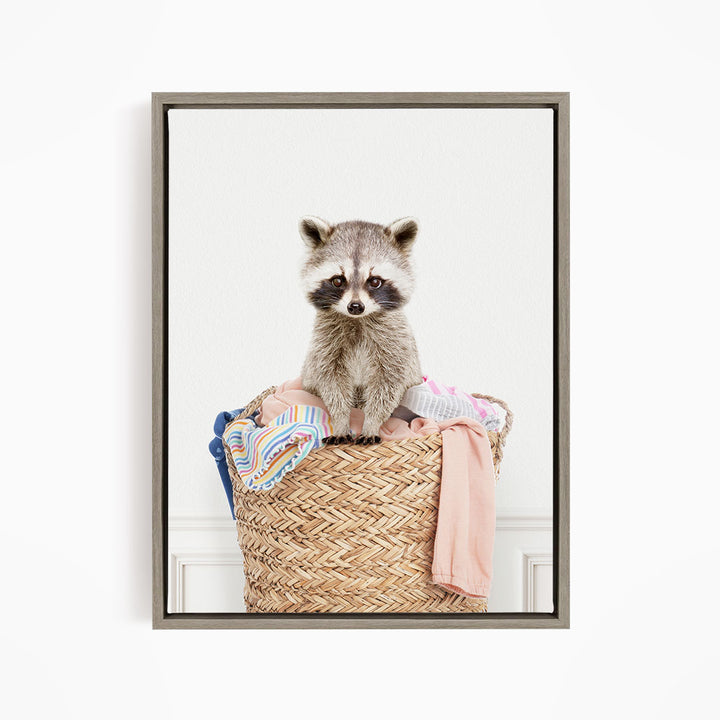 Baby Raccoon in Laundry Basket - Simple White Wall