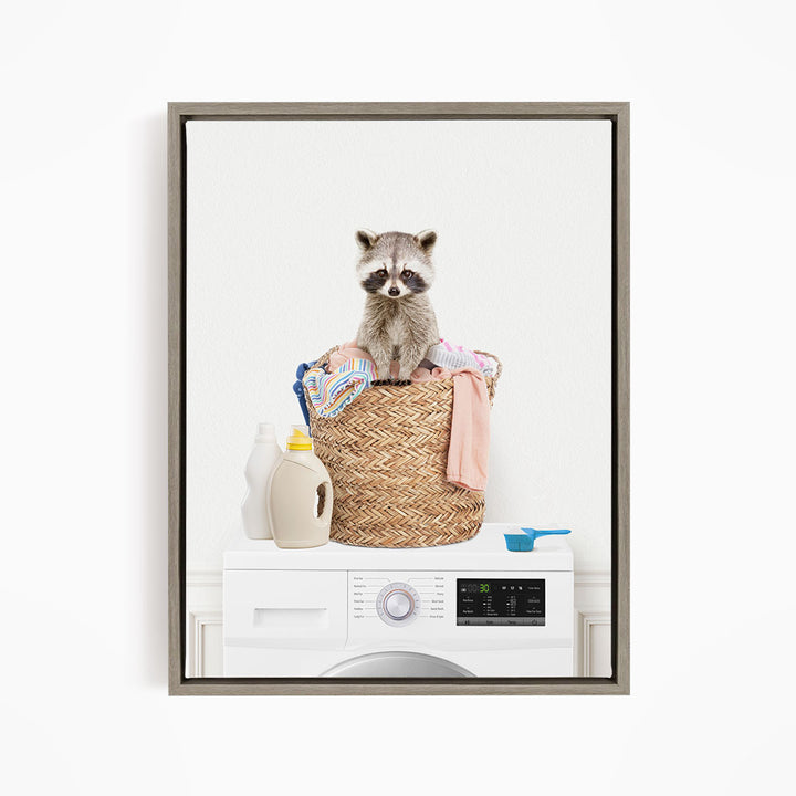 Baby Raccoon in Laundry Basket on Washing Machine - Simple White Wall
