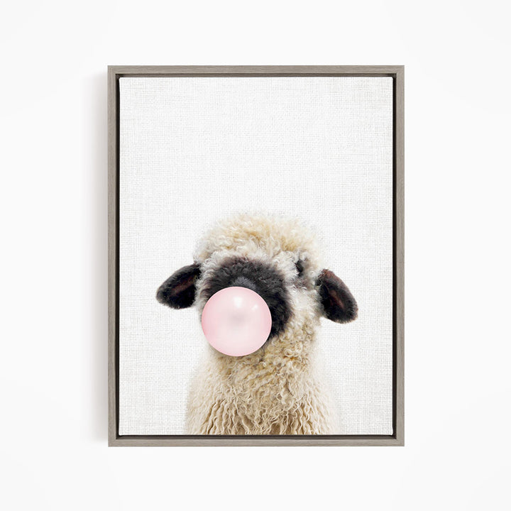 Baby Black Nosed Sheep Blowing Pink Bubble Gum
