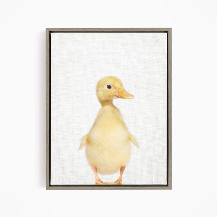 Yellow Ducky Side Glance - Animal Portraits