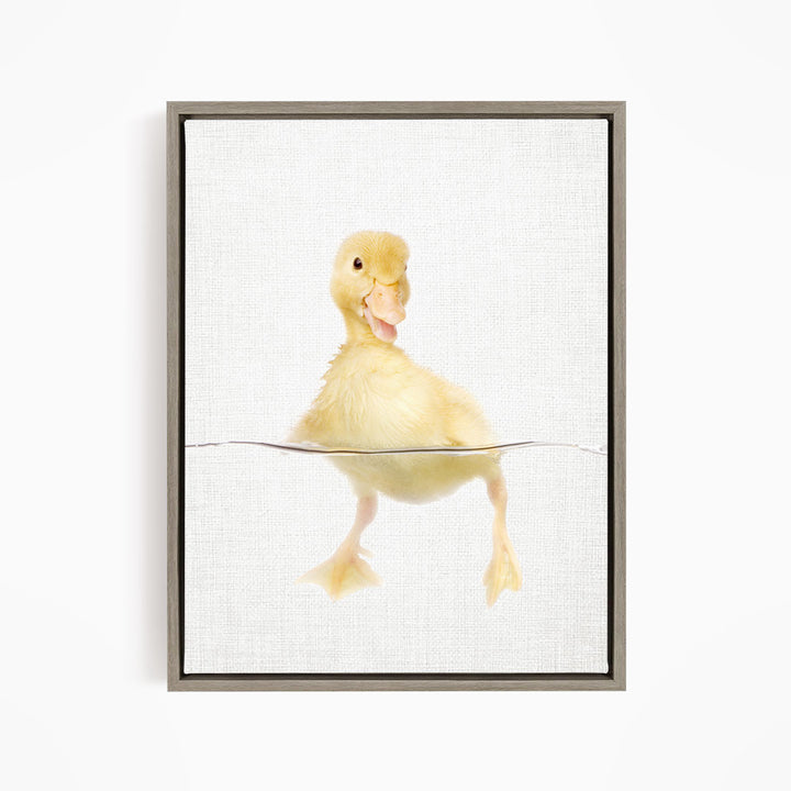 Yellow Ducky Swimming - Animal Portraits