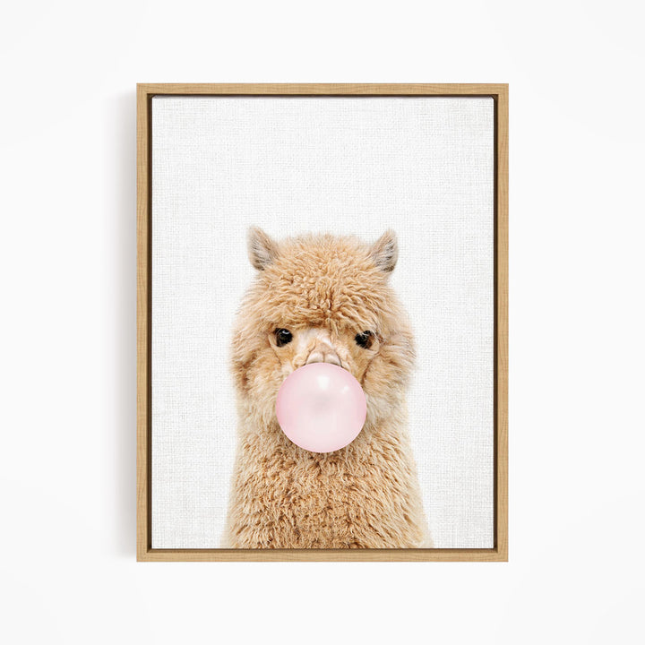 Baby Alpaca Blowing Pink Bubble Gum
