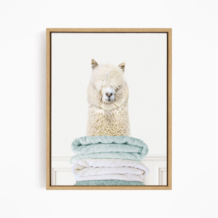 Alpaca on Folded Towels - Simple White Wall