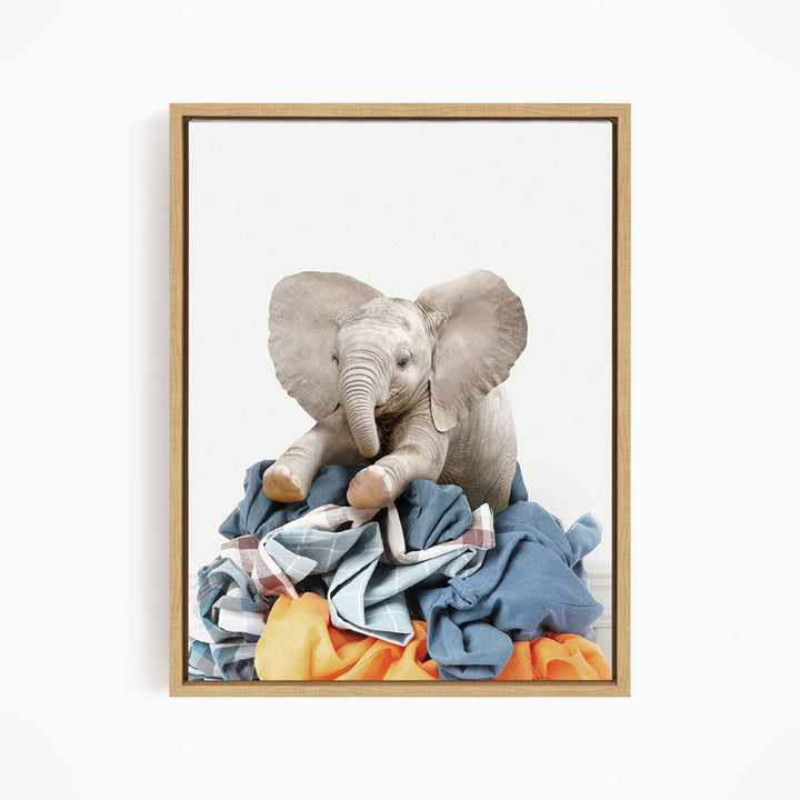 Baby Elephant on Laundry Clothes Pile - Simple White Wall