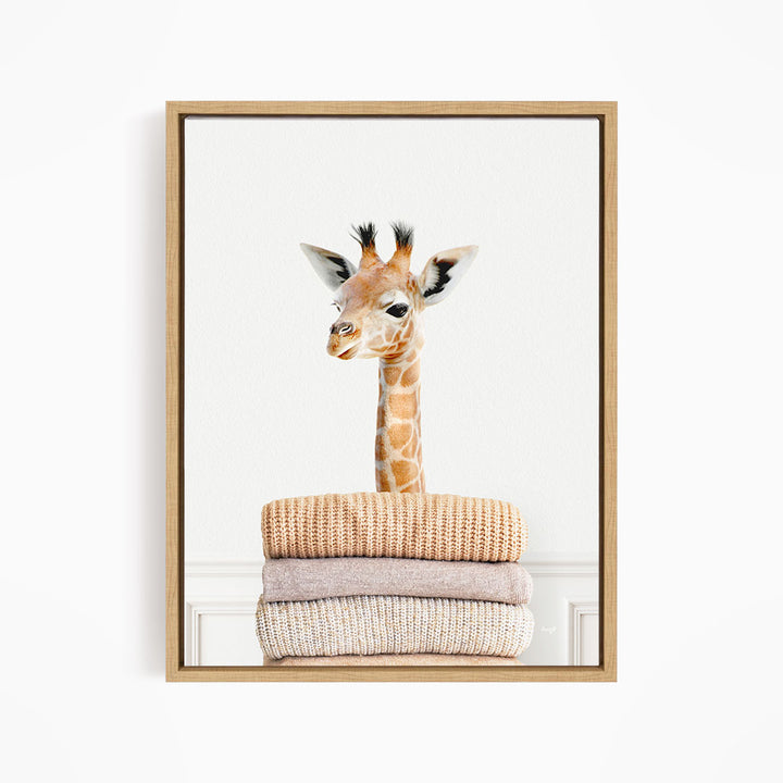 Baby Giraffe on Sweaters - Simple White Wall
