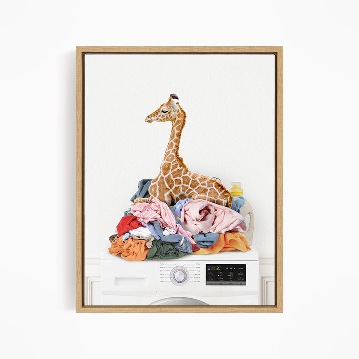 Baby Giraffe on Laundry Clothes Pile on Washing Machine - Simple White Wall