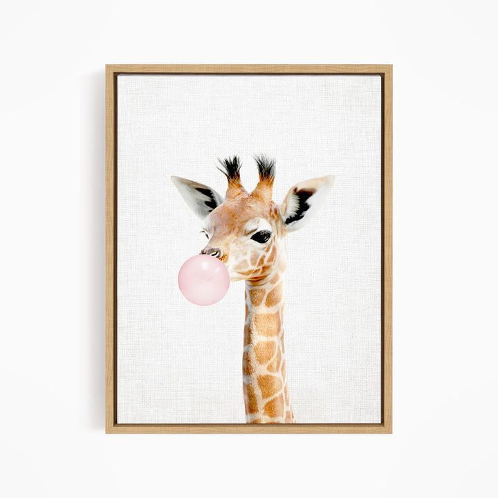Baby Giraffe Blowing Pink Bubble Gum