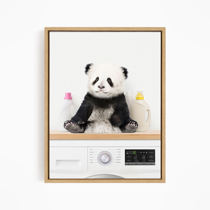 Baby Panda on Shelf Above Washing Machine - Simple White Wall