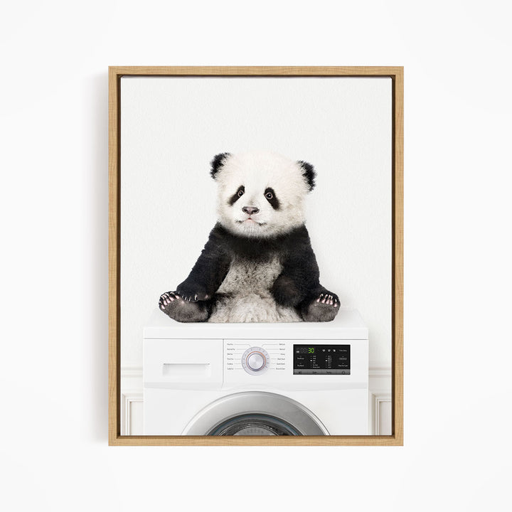 Baby Panda on Washing Machine - Simple White Wall
