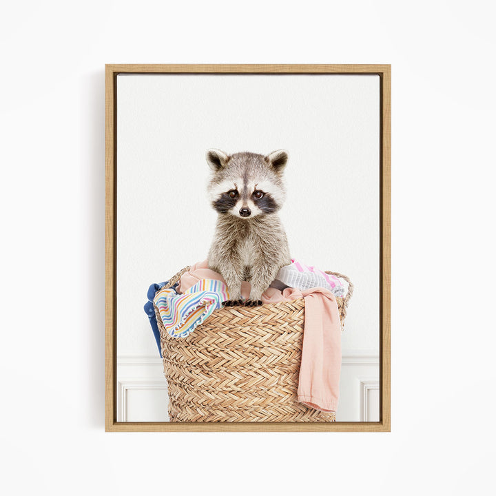 Baby Raccoon in Laundry Basket - Simple White Wall