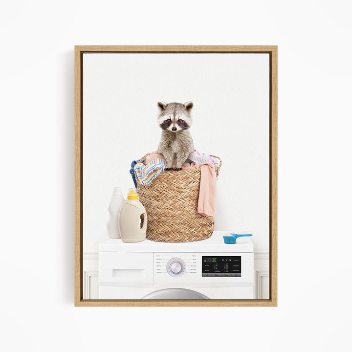 Baby Raccoon in Laundry Basket on Washing Machine - Simple White Wall