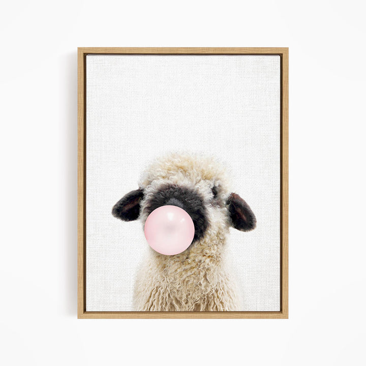 Baby Black Nosed Sheep Blowing Pink Bubble Gum